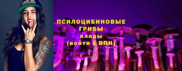 гашик Верхний Тагил