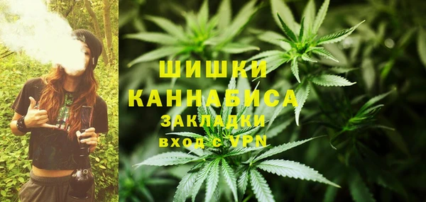 твердый Богородск